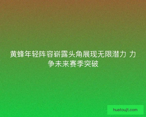黄蜂年轻阵容崭露头角展现无限潜力 力争未来赛季突破